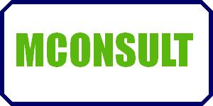 Pracownia Geodezyjna MCONSULT w Toruniu